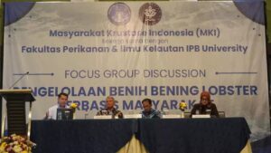 MKI dan FPIK IPB Rekomendasikan Transisi 3 Tahun untuk Penguatan Budidaya Lobster Nasional